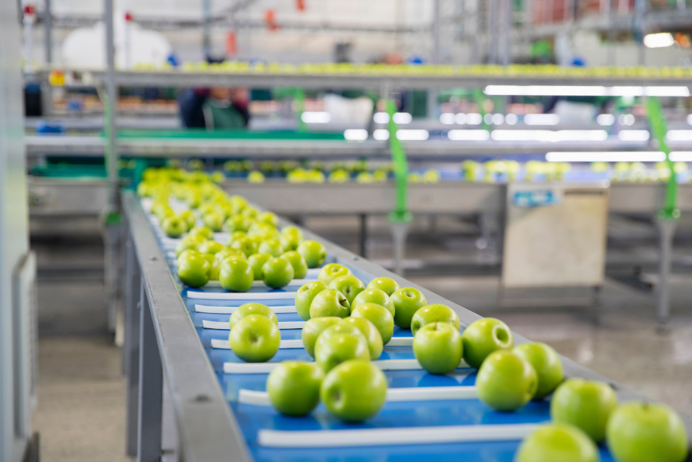 Apples,Being,Sorted,In,Fruit,Processing,And,Packaging,Plant